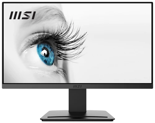 MSI PRO MP223 / 22" (A)