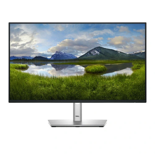 DELL P2425H / 24" (A)